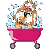 Pets Lounge