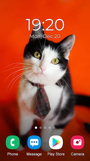 Kitten Wallpaper 2023 Screenshot 1