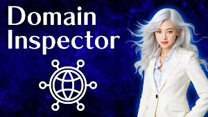 Domain Inspector Screenshot 0