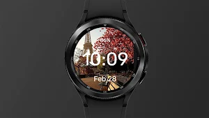 Parisian bench - Watch Face Screenshot 2