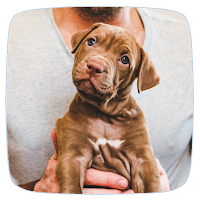 Puppy Care Guide