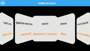 GCSE Portuguese Vocab OCR Lite Screenshot 1
