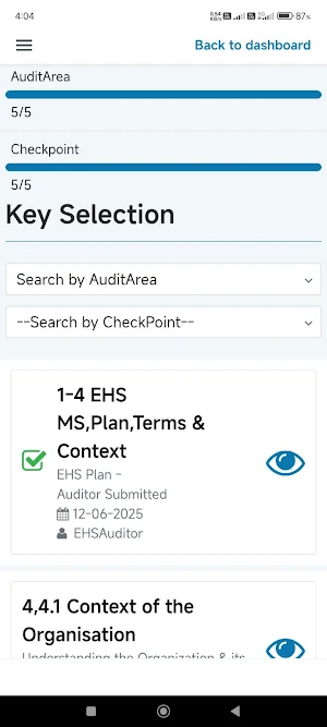 EHS Audit App Screenshot 2