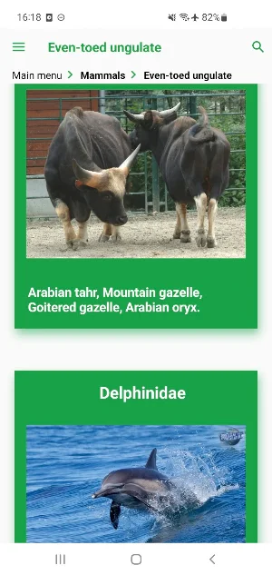 Emirates Animals Screenshot 3