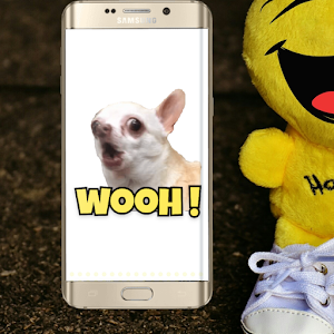 Funny Memes Stickers GIF Screenshot 3