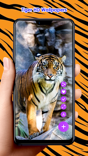 Tiger HD Wallpapers Screenshot 0