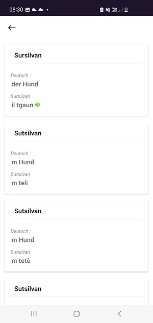 Rätoromanische Wörterbücher Screenshot 3