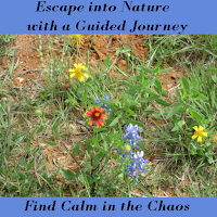 Guided Journeys Into Nature
