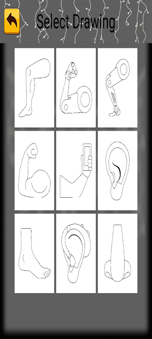 Coloring Body Parts Screenshot 2