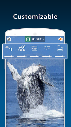 Nature Sounds Screenshot 2