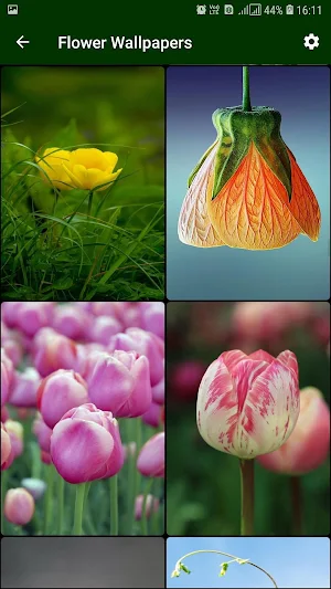 Flower Wallpaper Screenshot 2