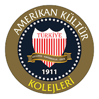 Amerikan Kültür Dijital
