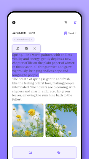 QuickJot: Notebook Screenshot 3