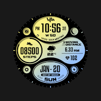 SamWatch FIT A 2024