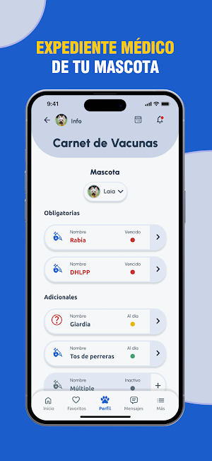 Pasapet Screenshot 2