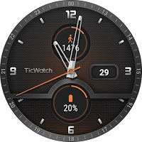 TicWatch Guardian