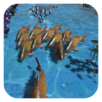 Crowd Sea Fish