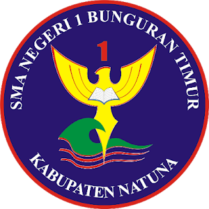 SMA NEGERI 1 BUNGURAN TIMUR Screenshot 0