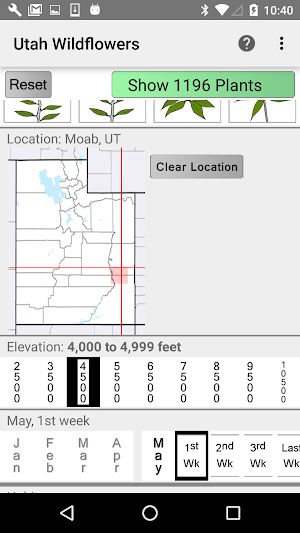 Utah Wildflowers Screenshot 1