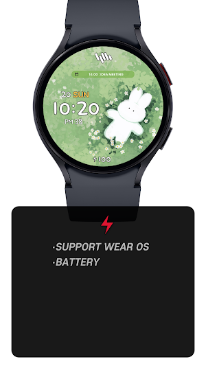 SamWatch T Toon R・T V11 Screenshot 1