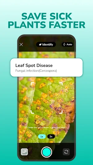 Plant Check: Plant Identifier Screenshot 2