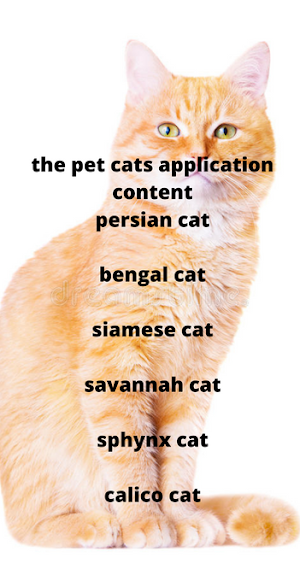pet cats Screenshot 3