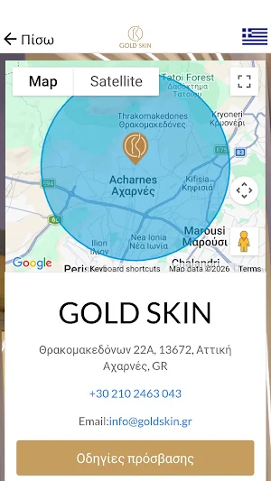 GOLD SKIN Screenshot 2