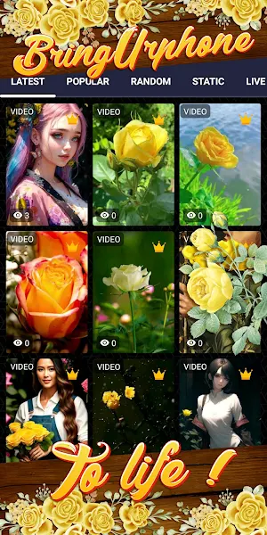 yellow rose wallpaper Screenshot 1