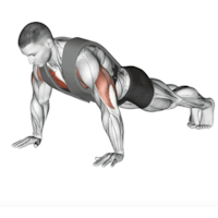 Home Workout - Push Pull Legs