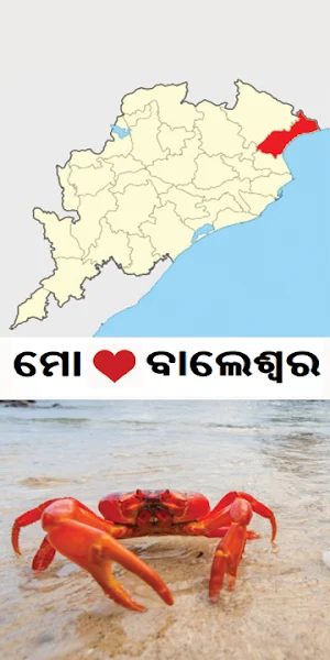 My Balasore Screenshot 0