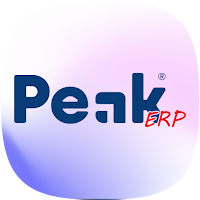 Peak ERP