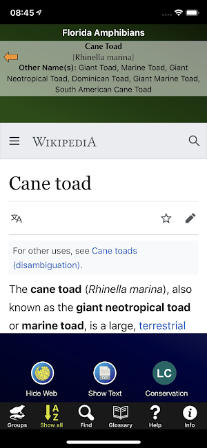Florida Amphibians Screenshot 2