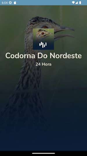 Codorna Do Nordeste - 24 Hora Screenshot 0