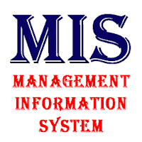 Management Information System