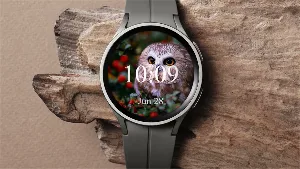 Owl - Watch Face Screenshot 1