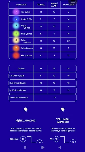 Kader Matrisi Hesaplama Screenshot 3