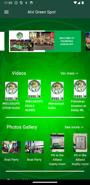 PalmeirasDublin Screenshot 0