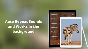 Zebra Sounds Screenshot 2