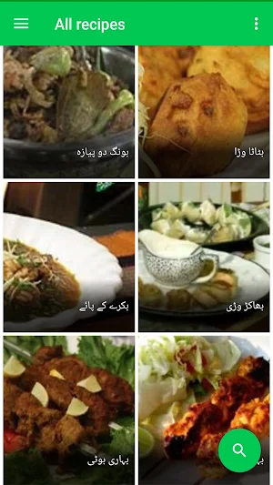 Pakistani Recipes in Urdu Screenshot 0