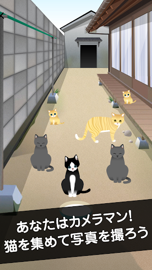 かわいい猫がいっぱい！ ねこやしき Screenshot 0