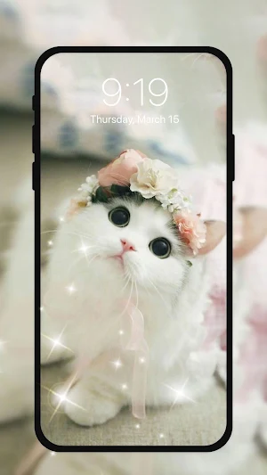 Cute Kitten Live Wallpapers HD Screenshot 1