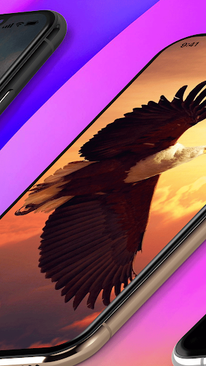 Eagle Wallpaper Live Screenshot 2