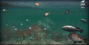 Sea Shore Aquarium Screenshot 3