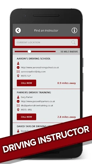 Learn to Drive 2020 Screenshot 3