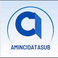 Amincidatasub