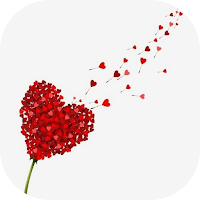 Women's Day Flowers 2024