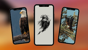Eagle Wallpaper Screenshot 3