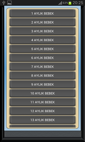 Bebek Gelişimi Ay Ay Detaylı Screenshot 1