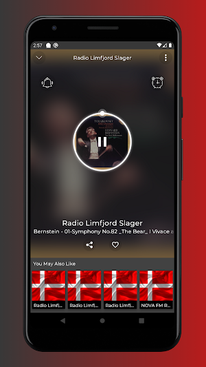 Radio Limfjord Slager App Screenshot 1