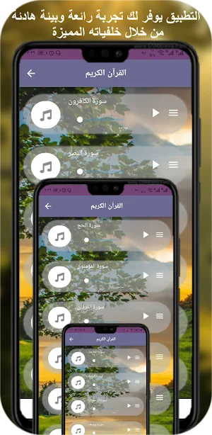 Quran Ibrahim Al Jibreen Screenshot 3